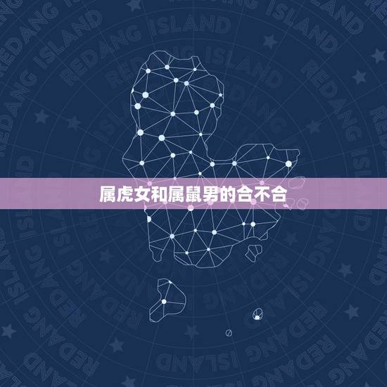 属虎女和属鼠男的合不合，1996男鼠1998女虎