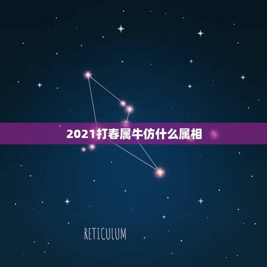 2021打春属牛仿什么属相,2021年属牛正月初几出生好 2021打春属牛仿什么属相,2021年属牛正月初几出生好