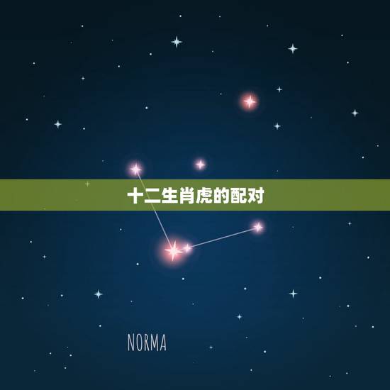 十二生肖虎的配对,十二生肖配对姻缘 十二生肖虎的配对,十二生肖配对姻缘