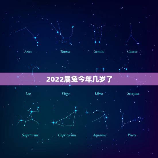 2022属兔今年几岁了,属猴的今年多大了2022 2022属兔今年几岁了,属猴的今年多大了2022