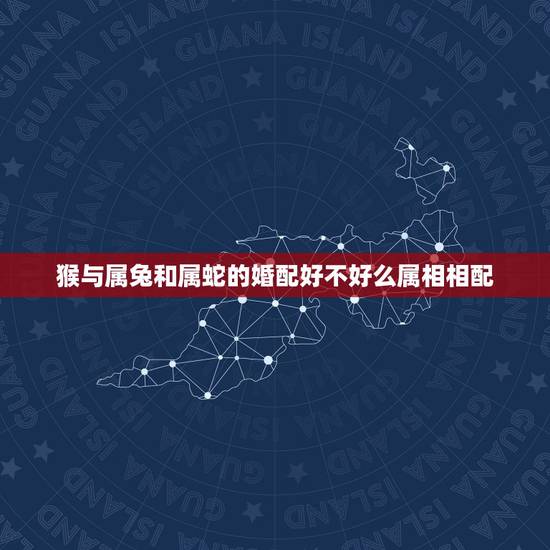 猴与属兔和属蛇的婚配好不好么属相相配，属兔的女人和什么属相男人最相配？