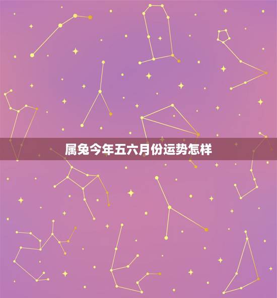 属兔今年五六月份运势怎样,属兔的今年运气怎样 属兔今年五六月份运势怎样,属兔的今年运气怎样