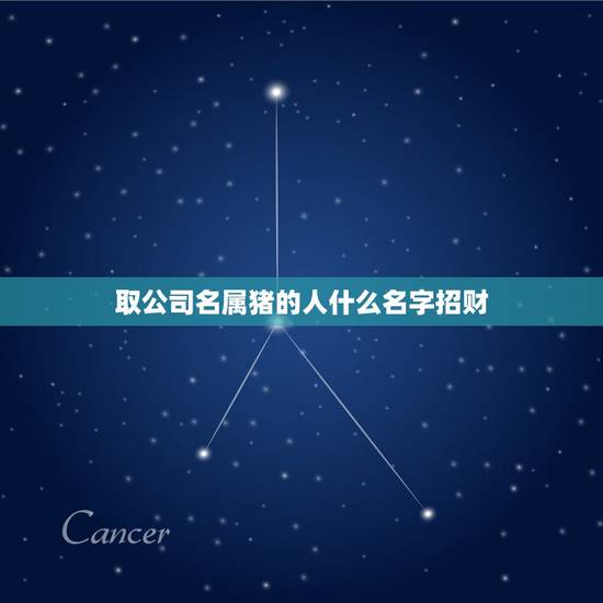 取公司名属猪的人什么名字招财，属猪取什么名字好？