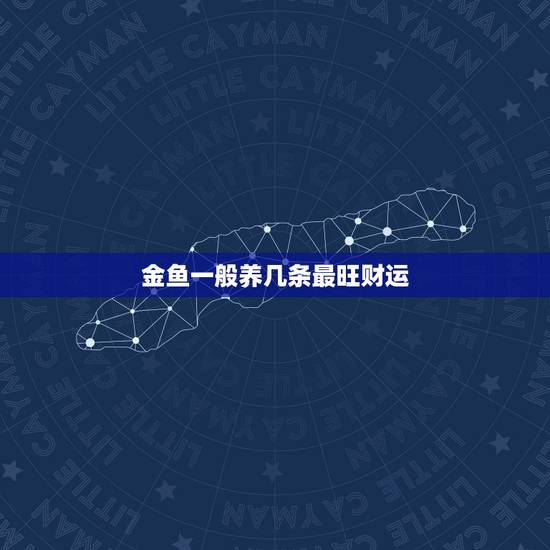 金鱼一般养几条最旺财运,金鱼养几条比较吉利 金鱼一般养几条最旺财运,金鱼养几条比较吉利