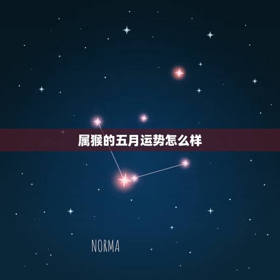 属猴的五月运势怎么样，属猴的1980年农历5月初十男在2009年的财运