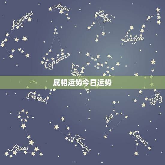 属相运势今日运势，十二生肖五月运势，你的运势如何？