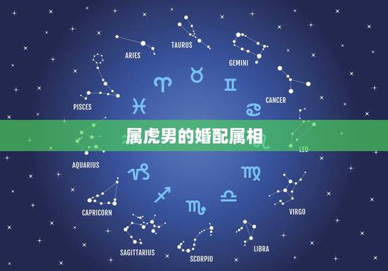 属虎男的婚配属相,男方属虎接亲什么属相 属虎男的婚配属相,男方属虎接亲什么属相