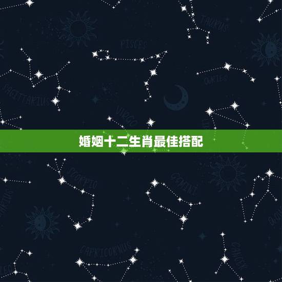 婚姻十二生肖最佳搭配 最恩爱的生肖配对 婚姻十二生肖最佳搭配 最恩爱的生肖配对