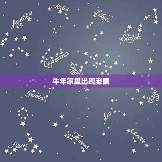 牛年家里出现老鼠，家里出现老鼠