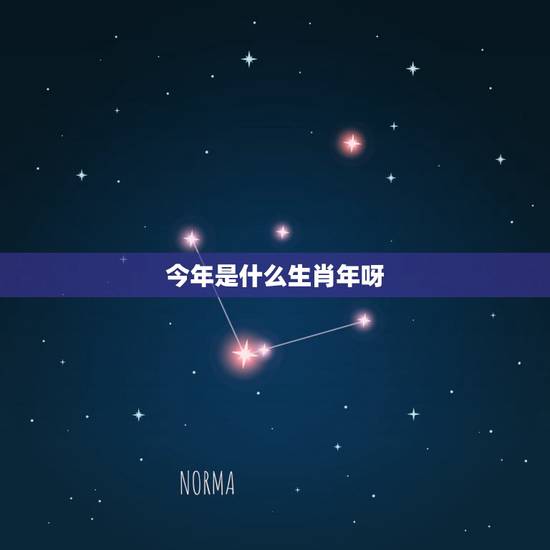 今年是什么生肖年呀,今年是十二生肖什么年 今年是什么生肖年呀,今年是十二生肖什么年