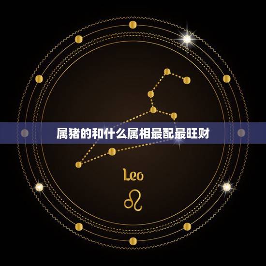 属猪的和什么属相最配最旺财,属猪在哪一年有偏财运 属猪的和什么属相最配最旺财,属猪在哪一年有偏财运