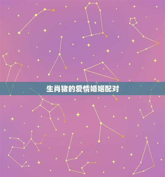 生肖猪的爱情婚姻配对，男性生肖属猪和女性生肖属猪婚姻配对好吗