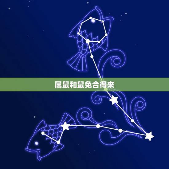 属鼠和鼠兔合得来，鼠男兔女合适婚配吗