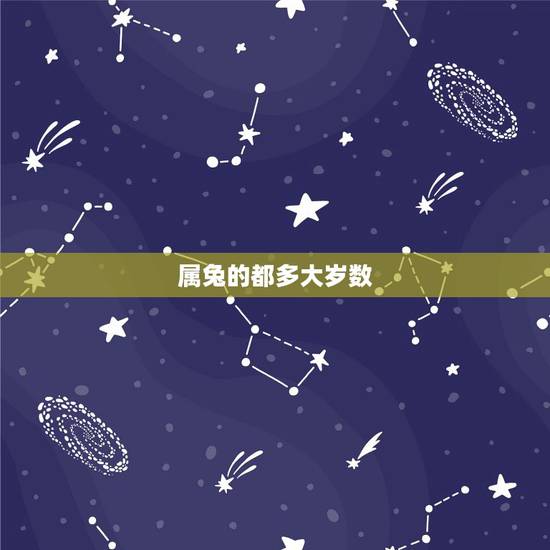 属兔的都多大岁数，属兔人2022 年下半年运势
