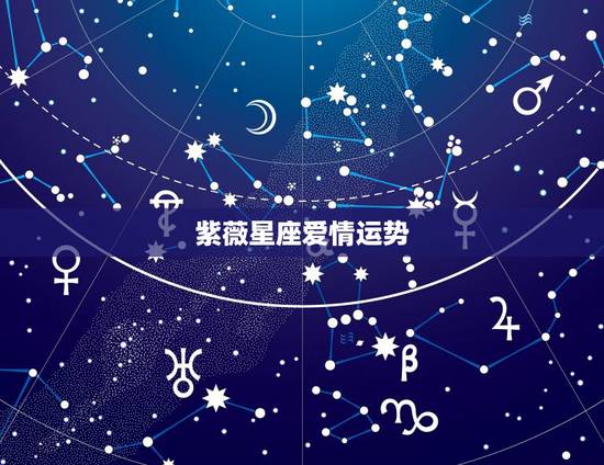 紫薇星座爱情运势,从紫薇命盘的那个宫的什么星看爱情的运势? 紫薇星座爱情运势,从紫薇命盘的那个宫的什么星看爱情的运势?