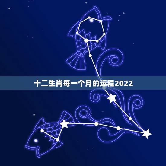 十二生肖每一个月的运程2022，十二生肖逐年逐月运势