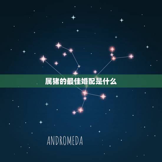 属猪的最佳婚配是什么，属相婚配表之属猪的和什么属相最配