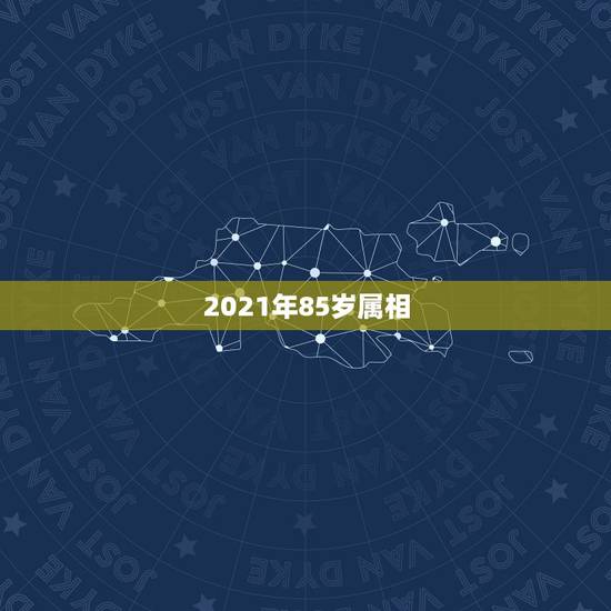 2021年85岁属相，2021生肖鼠多大年龄