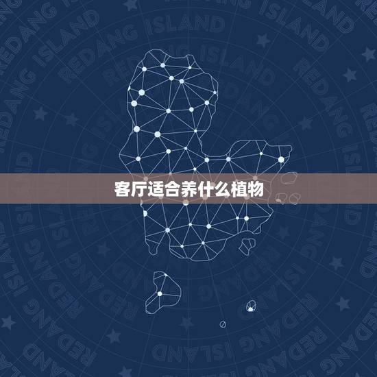 客厅适合养什么植物，北方客厅适合养什么大型植物