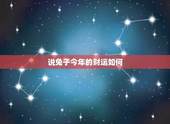 说兔子今年的财运如何