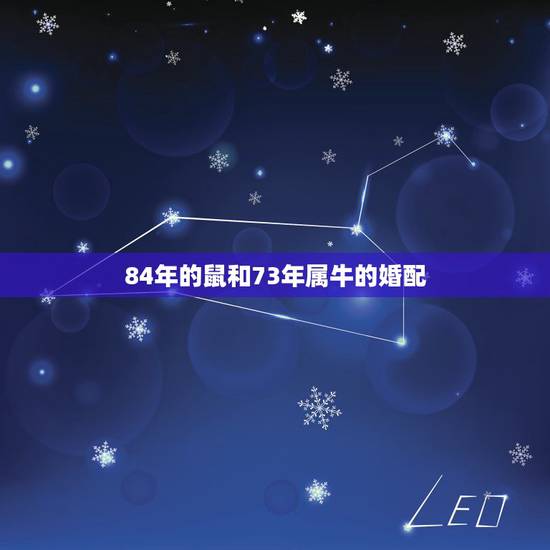 84年的鼠和73年属牛的婚配，84年属鼠的能和73年属牛的一起共事吗？