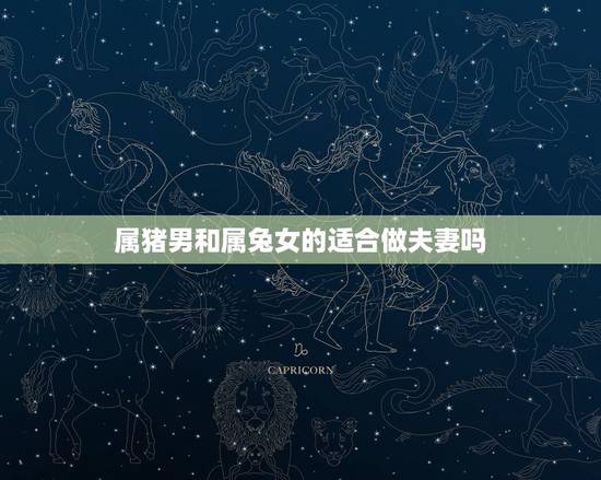 属猪男和属兔女的适合做夫妻吗,95属猪哪一年结婚更好 属猪男和属兔女的适合做夫妻吗,95属猪哪一年结婚更好