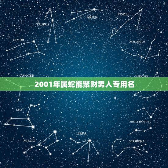 2001年属蛇能聚财男人专用名，属蛇人起什么名字招财