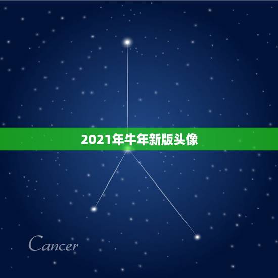 2021年牛年新版头像，2021年牛年是什么命