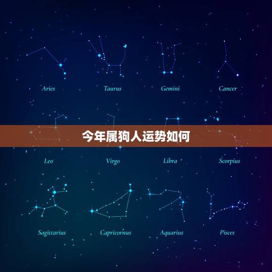 今年属狗人运势如何,70年出生属狗的运势 今年属狗人运势如何,70年出生属狗的运势