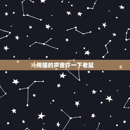 用猫的声音吓一下老鼠，猫叫声驱鼠时长20分钟完整版