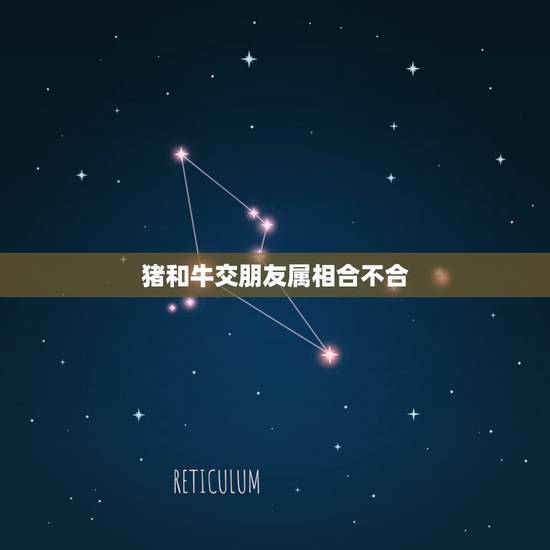 猪和牛交朋友属相合不合，属猪和属牛合不合