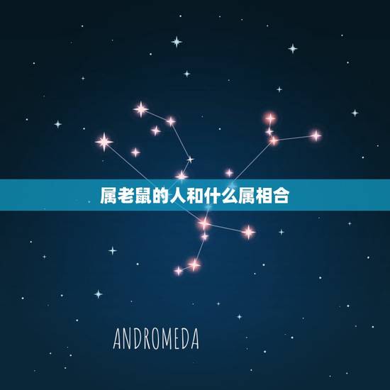 属老鼠的人和什么属相合,属鼠和哪几个属相最合适 属老鼠的人和什么属相合,属鼠和哪几个属相最合适