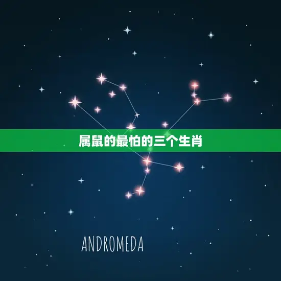 属鼠的最怕的三个生肖 属鼠的最怕的三个生肖
