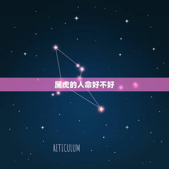 属虎的人命好不好,为什么男属虎命不好 属虎的人命好不好,为什么男属虎命不好