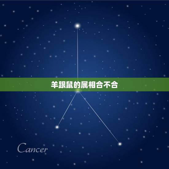 羊跟鼠的属相合不合,马跟龙的属相合不合 羊跟鼠的属相合不合,马跟龙的属相合不合
