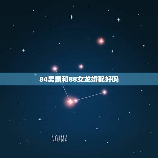 84男鼠和88女龙婚配好吗，1984年属男鼠88年女龙人婚配