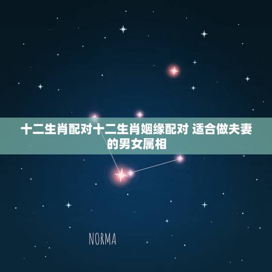 十二生肖配对十二生肖姻缘配对 适合做夫妻的男女属相 十二生肖配对十二生肖姻缘配对 适合做夫妻的男女属相