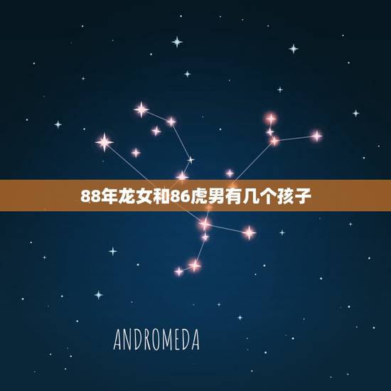 88年龙女和86虎男有几个孩子，虎男和龙女最容易出轨吗