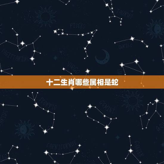 十二生肖哪些属相是蛇，十二生肖是哪些