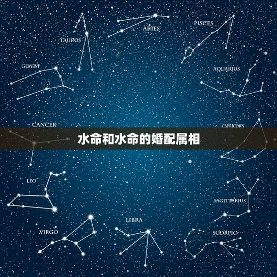 水命和水命的婚配属相,请问水命人与水命人可以结婚吗 水命和水命的婚配属相,请问水命人与水命人可以结婚吗
