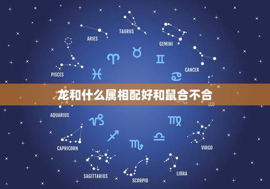 龙和什么属相配好和鼠合不合，属龙和什么属相相配