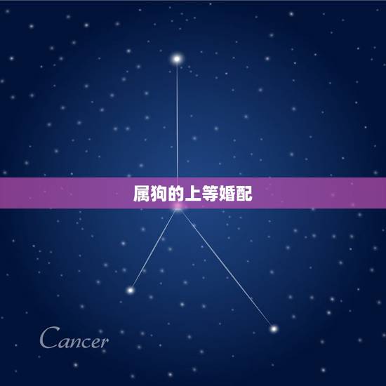 属狗的上等婚配，生肖龙的上上等婚配