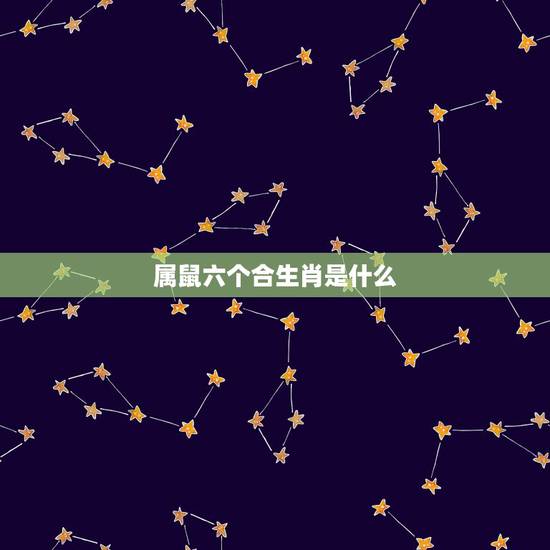 属鼠六个合生肖是什么,猪和鼠相配婚姻合不合 属鼠六个合生肖是什么,猪和鼠相配婚姻合不合