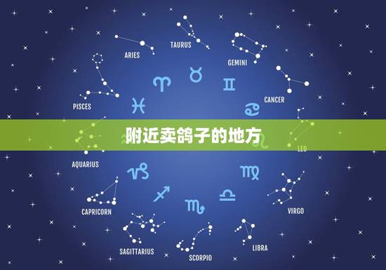 附近卖鸽子的地方,哪里有卖鸽子,我想养鸽子, 附近卖鸽子的地方,哪里有卖鸽子,我想养鸽子,