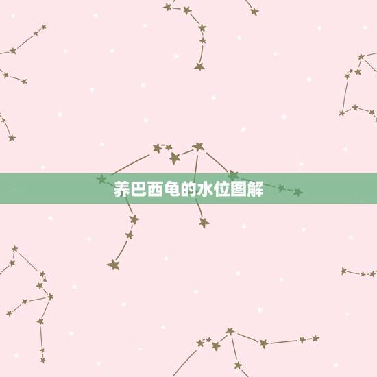 养巴西龟的水位图解，巴西龟的水位到四肢可以吗？