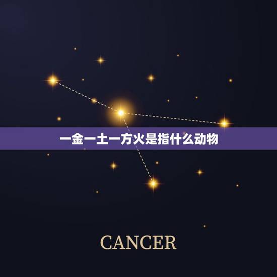 一金一土一方火是指什么动物,十二生肖里面的动物都是什么金木水火土 一金一土一方火是指什么动物,十二生肖里面的动物都是什么金木水火土