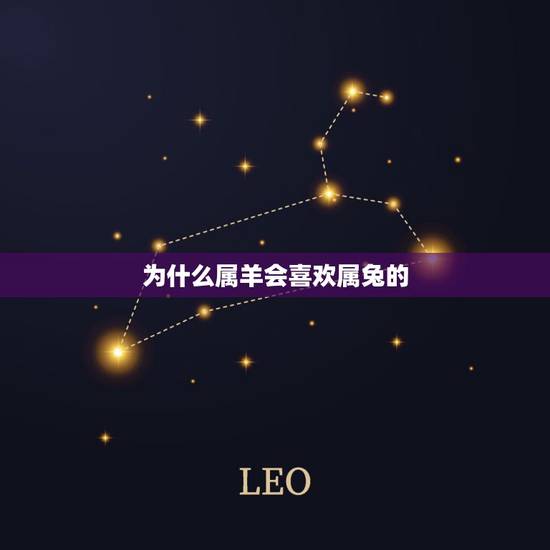 为什么属羊会喜欢属兔的,属羊男喜欢属兔女人吗 为什么属羊会喜欢属兔的,属羊男喜欢属兔女人吗