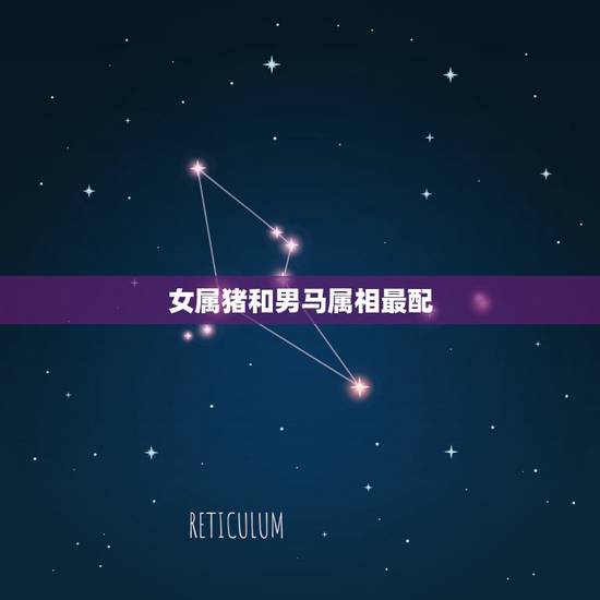 女属猪和男马属相最配，属马的男人和属猪的女人的婚配