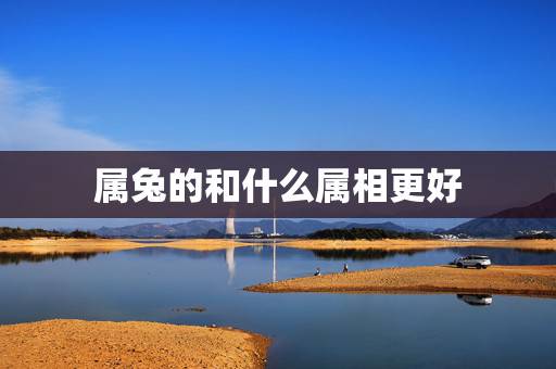 属兔的和什么属相更好，最适合属兔人的生肖