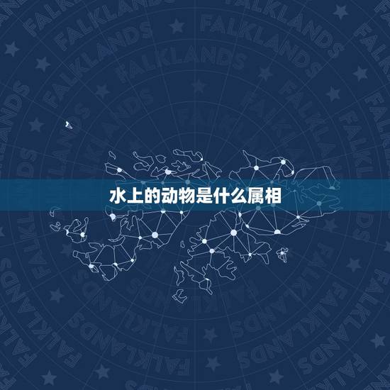 水上的动物是什么属相，水上的动物是十二生肖中的哪个